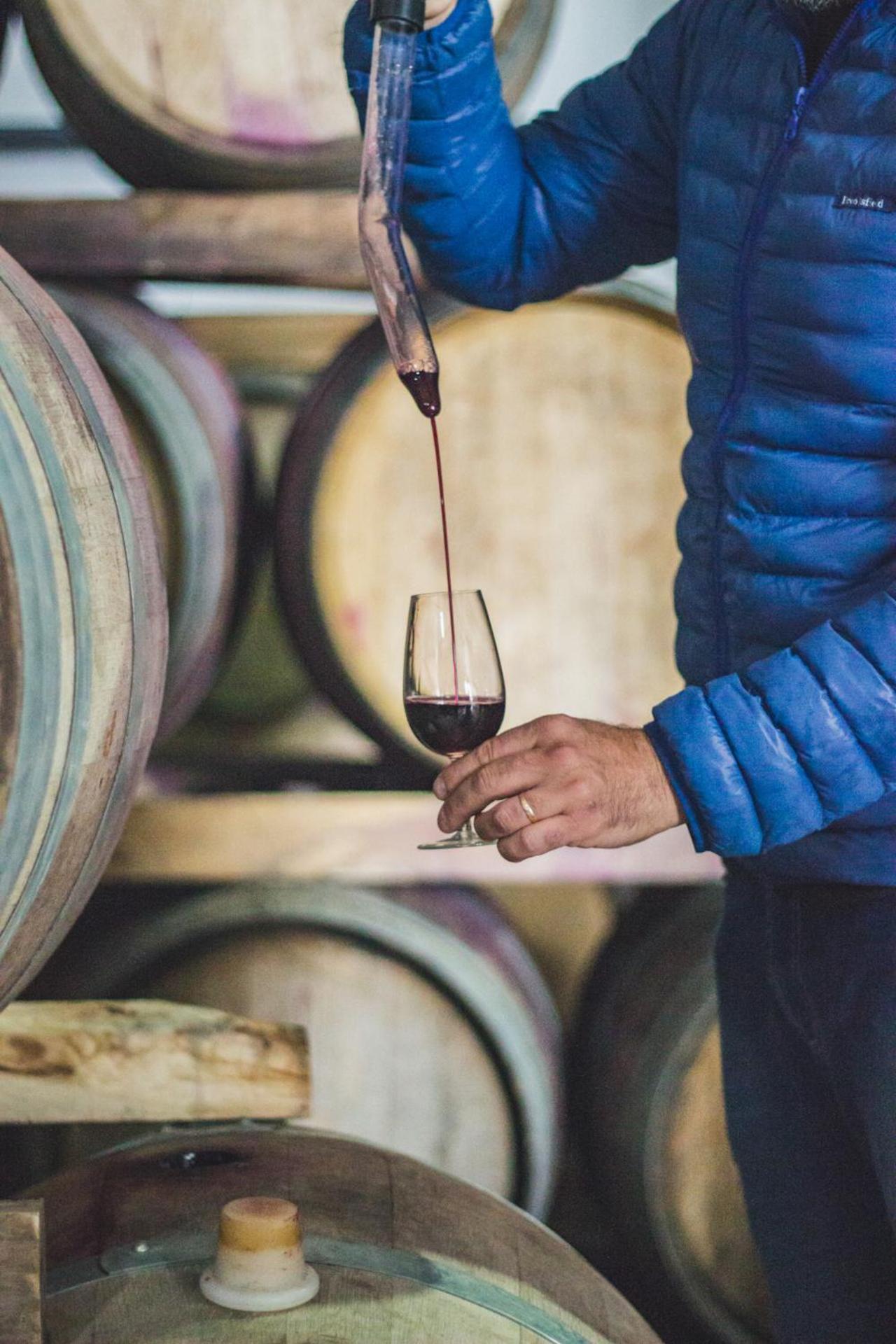 Postales Boutique Winery Hotel - Valle De Uco Colonia Las Rosas Εξωτερικό φωτογραφία