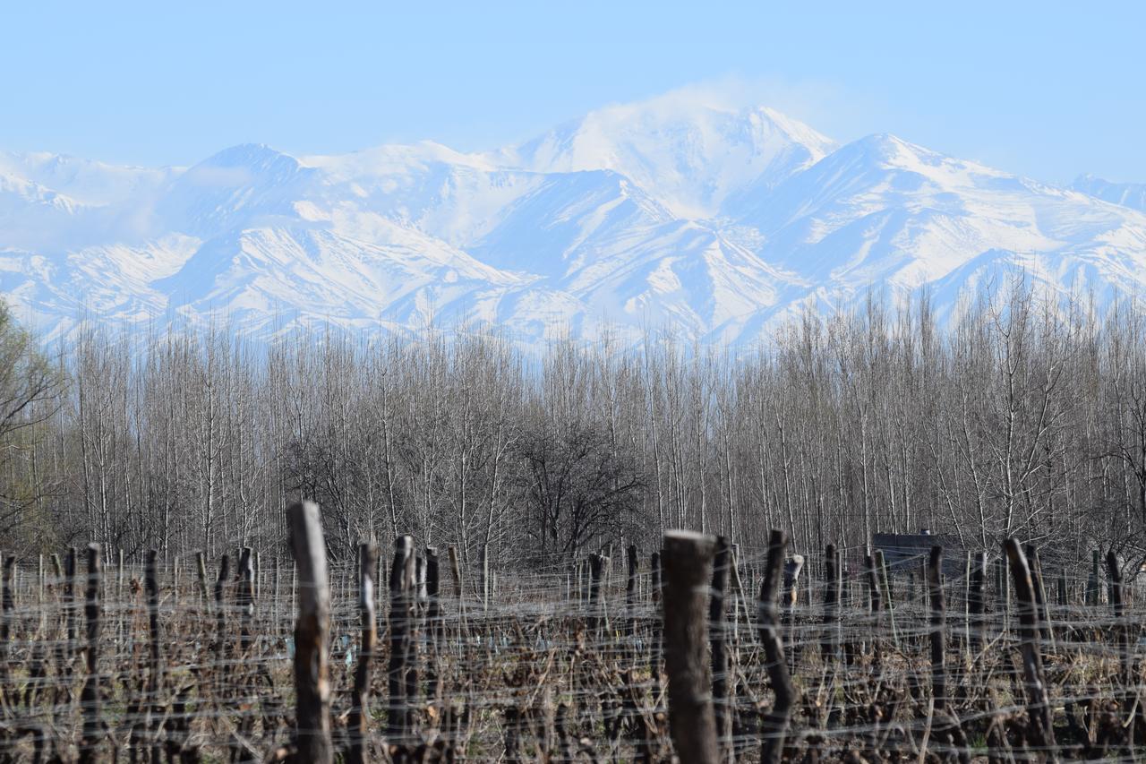 Postales Boutique Winery Hotel - Valle De Uco Colonia Las Rosas Εξωτερικό φωτογραφία