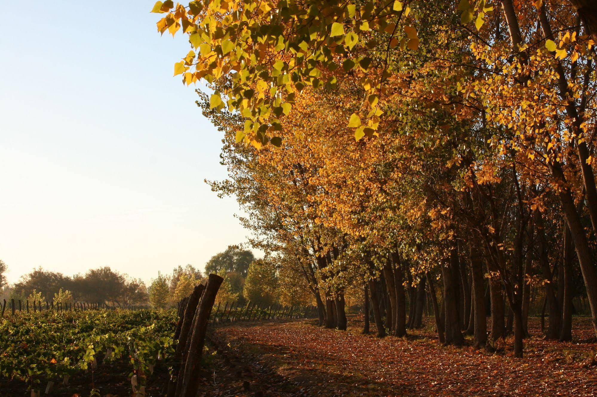 Postales Boutique Winery Hotel - Valle De Uco Colonia Las Rosas Εξωτερικό φωτογραφία