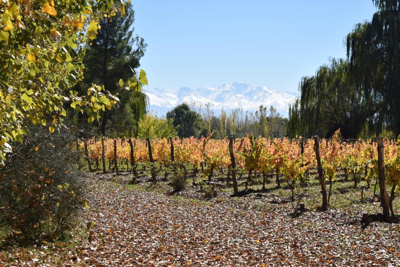 Postales Boutique Winery Hotel - Valle De Uco Colonia Las Rosas Εξωτερικό φωτογραφία