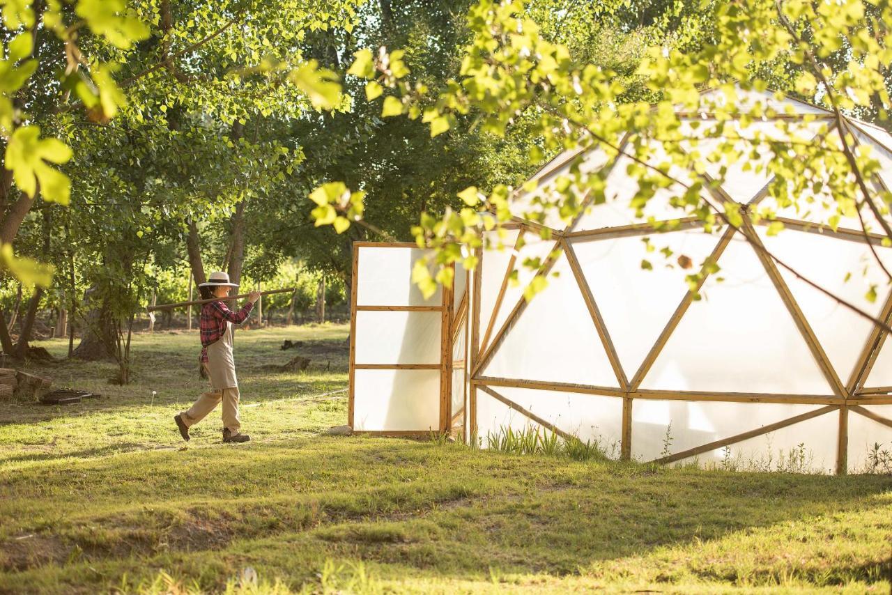 Postales Boutique Winery Hotel - Valle De Uco Colonia Las Rosas Εξωτερικό φωτογραφία