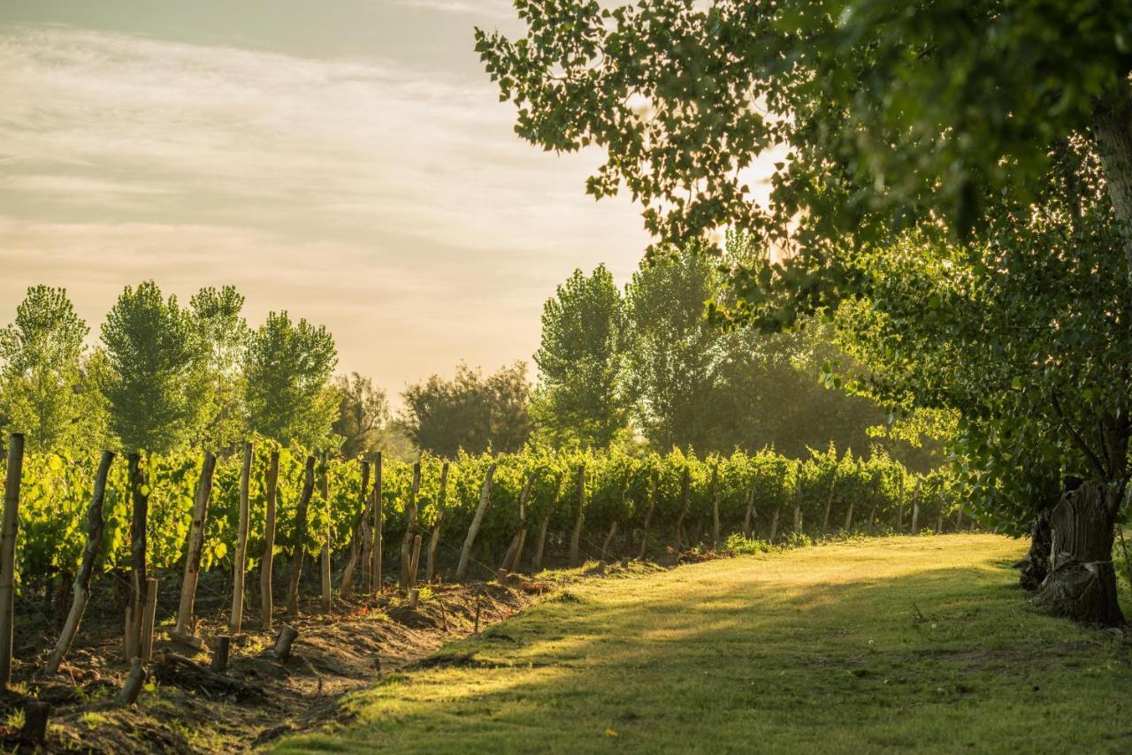 Postales Boutique Winery Hotel - Valle De Uco Colonia Las Rosas Εξωτερικό φωτογραφία